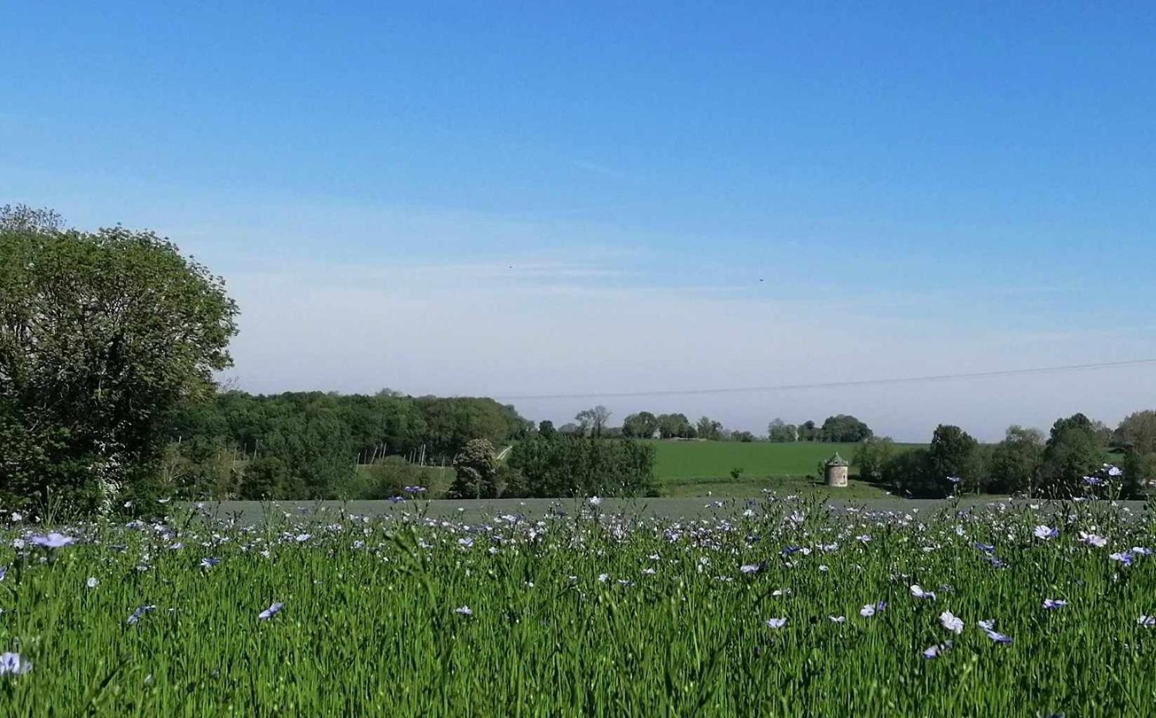 La Vieille Ferme Vila Donnay Exterior foto