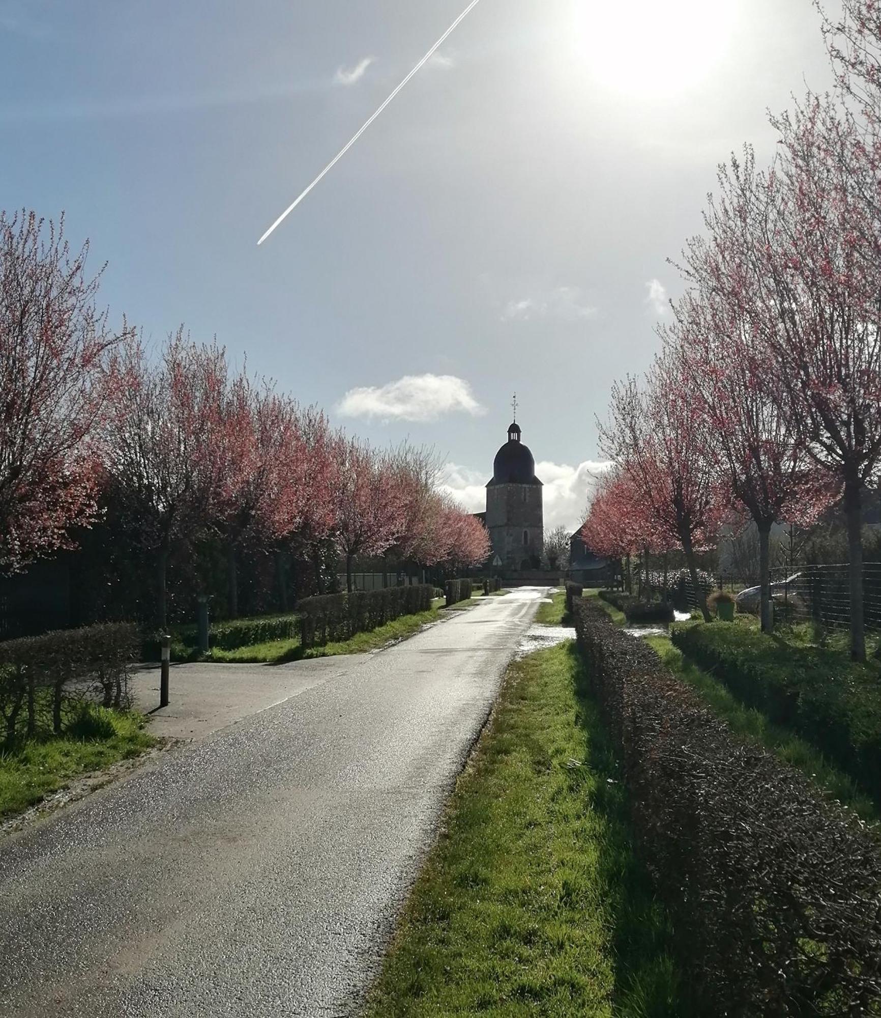 La Vieille Ferme Vila Donnay Exterior foto